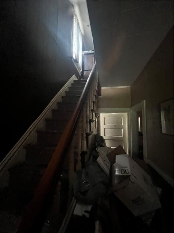 304 Minton St, Sheraden, PA 15204 - photo 47