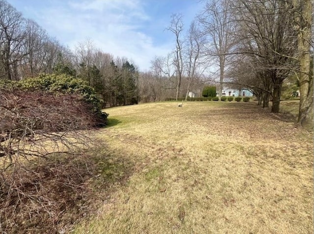 310 W Meyer Ave, Neshannock Twp, PA 16105 - photo 21