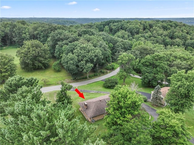 342 Gringo Independence Rd, Hopewell Twp, PA 15001 - photo 38