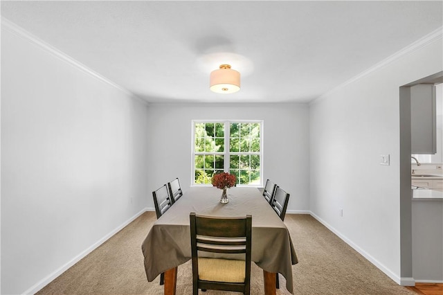 6759 Mars Crider Rd, Seven Fields Boro, PA 16046 - photo 10