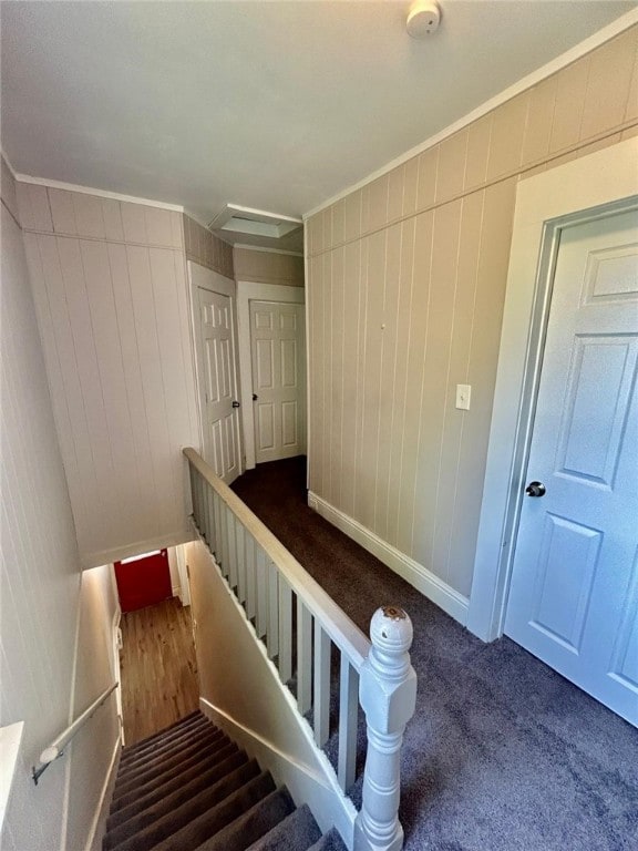 1457 7th Ave, New Brighton, PA 15066 - photo 19