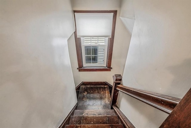 53 Evans Ave, Ingram, PA 15205 - photo 15