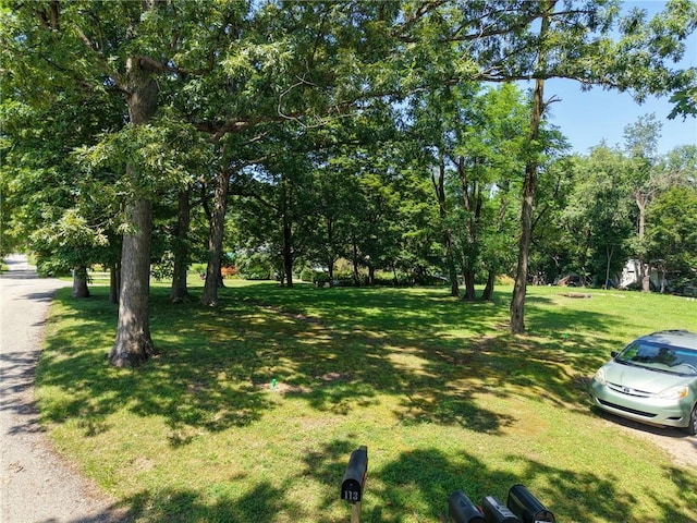 101 Ziegler, Adams Twp, PA 16046 - photo 5