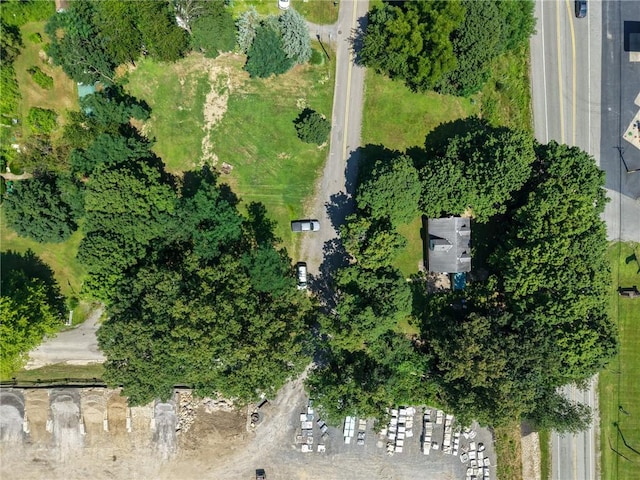 101 Ziegler, Adams Twp, PA 16046 - photo 23