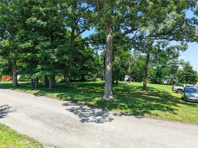 101 Ziegler, Adams Twp, PA 16046 - photo 19