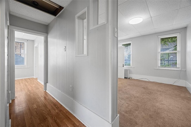 3230 Wainbell Ave, Dormont, PA 15216 - photo 26