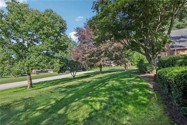 2584 Blossom Ln, Neshannock Twp, PA 16105 - photo 3