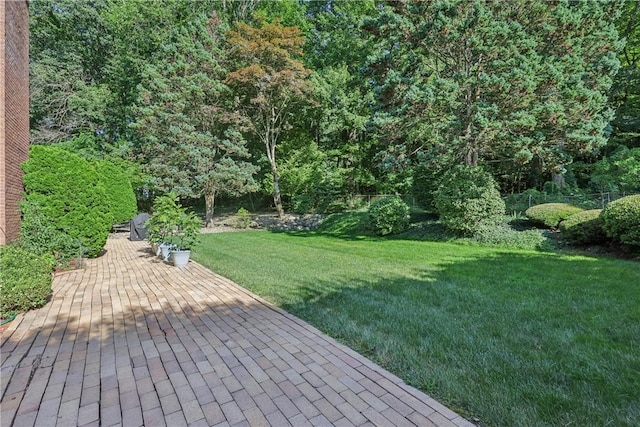 2584 Blossom Ln, Neshannock Twp, PA 16105 - photo 34