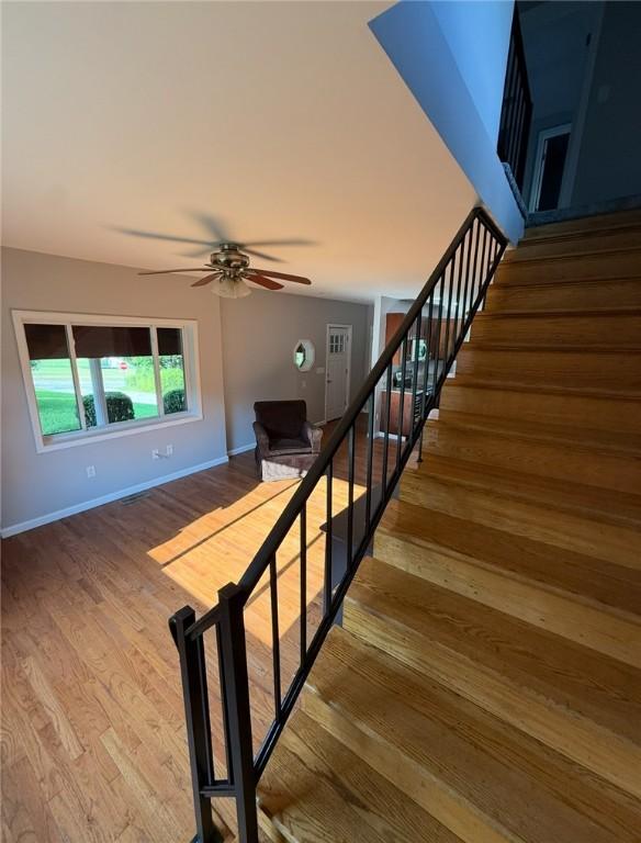 106 King St, Upper Tyrone Twp, PA 15683 - photo 13