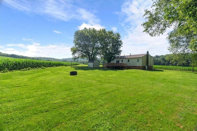 899 Spruce Hollow Rd, Brush Val/Buffington, PA 15748 - photo 34