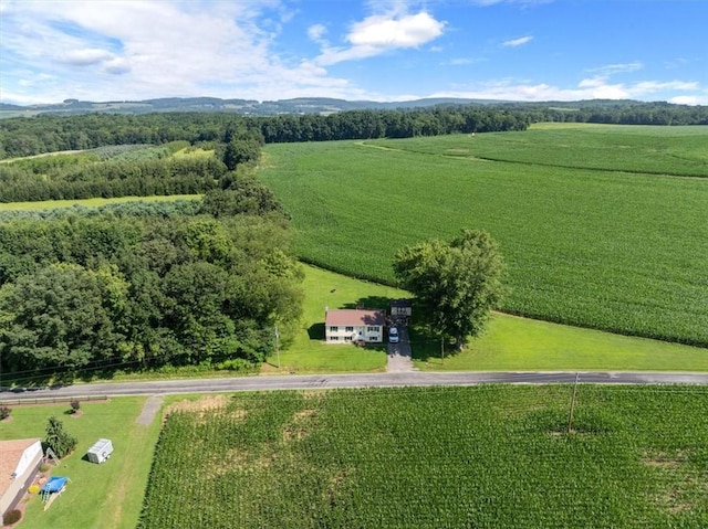 899 Spruce Hollow Rd, Brush Val/Buffington, PA 15748 - photo 35