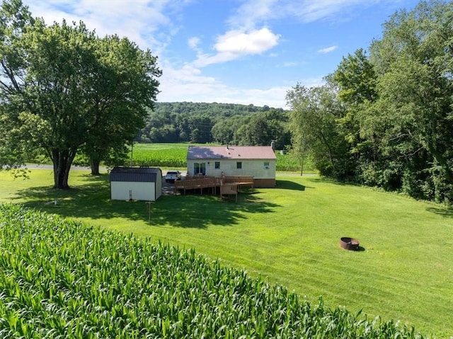 899 Spruce Hollow Rd, Brush Val/Buffington, PA 15748 - photo 36