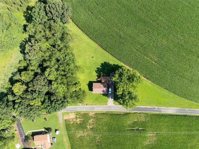 899 Spruce Hollow Rd, Brush Val/Buffington, PA 15748 - photo 38