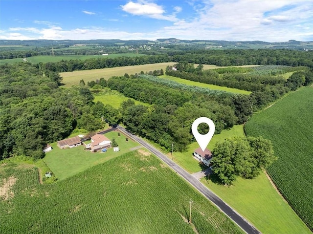 899 Spruce Hollow Rd, Brush Val/Buffington, PA 15748 - photo 39