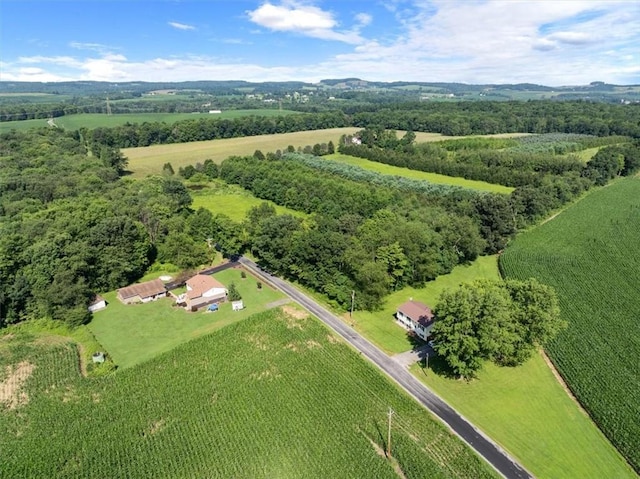 899 Spruce Hollow Rd, Brush Val/Buffington, PA 15748 - photo 40