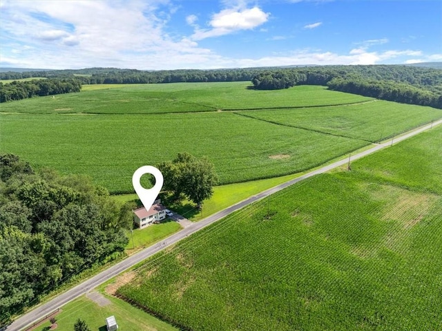 899 Spruce Hollow Rd, Brush Val/Buffington, PA 15748 - photo 41