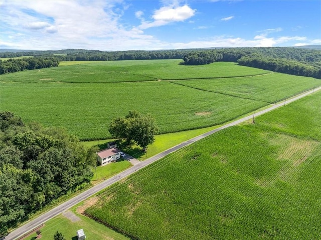 899 Spruce Hollow Rd, Brush Val/Buffington, PA 15748 - photo 42