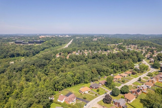 4734 Lolly Dr, Monroeville, PA 15146 - photo 33