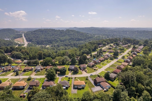 4734 Lolly Dr, Monroeville, PA 15146 - photo 35
