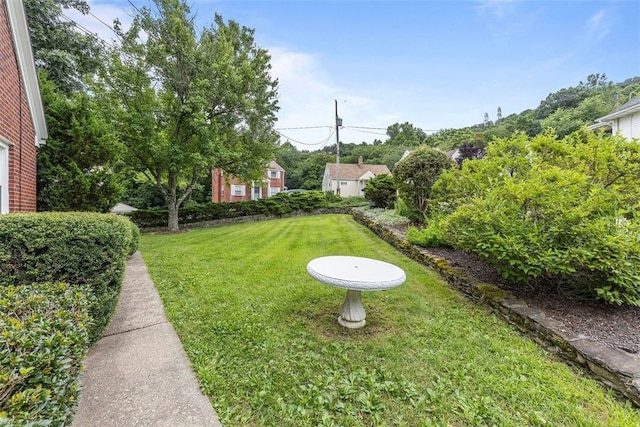 111 Lewis St, Bell Acres, PA 15003 - photo 29