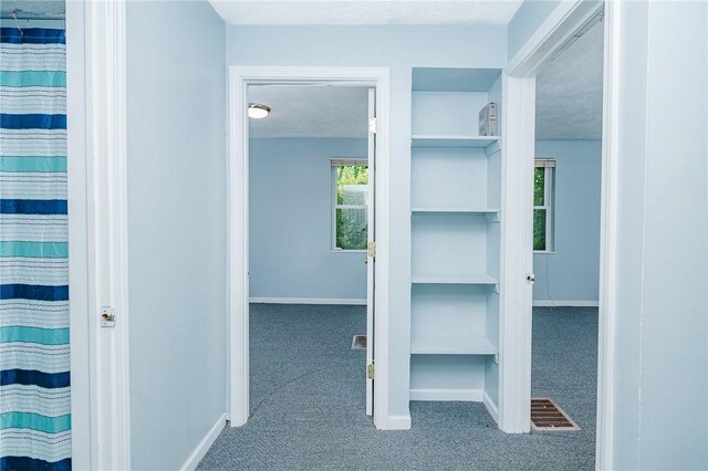 1162 Water St, Indiana Boro, PA 15701 - photo 13