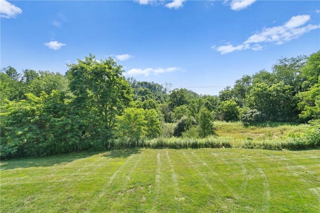 6476 Lindsey Ln, Murrysville, PA 15632 - photo 32