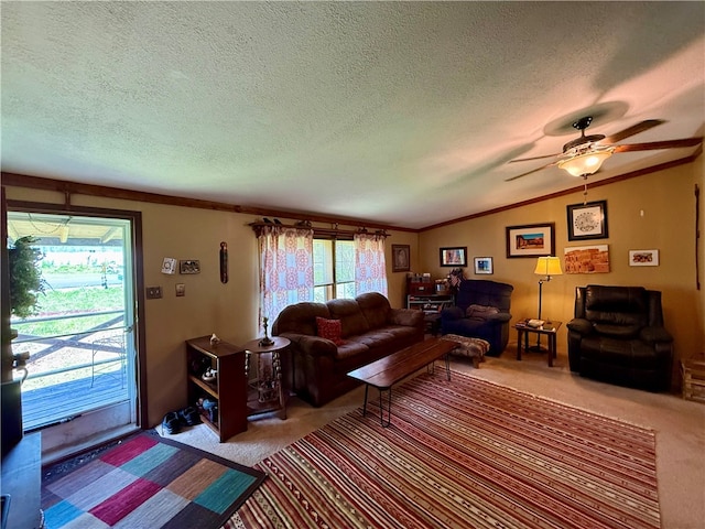 218 Jollytown Rd, New Freeport, PA 15352 - photo 19