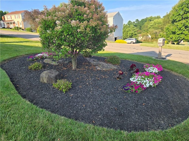 116 Weybridge Rd, Richland, PA 15044 - photo 33