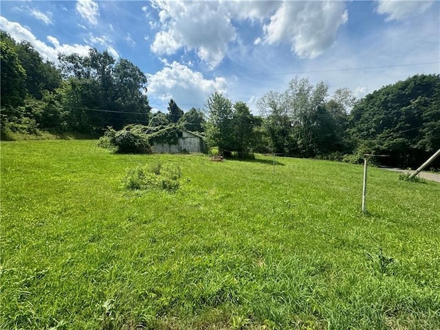 1123 Upper Boyd School Rd, Shenango Twp, PA 16157 - photo 8