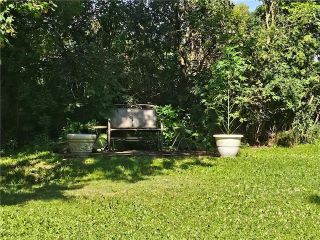 4136 William Flynn Hwy, Mercer Twp, PA 16035 - photo 6