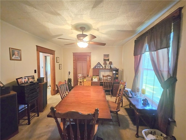 4136 William Flynn Hwy, Mercer Twp, PA 16035 - photo 12