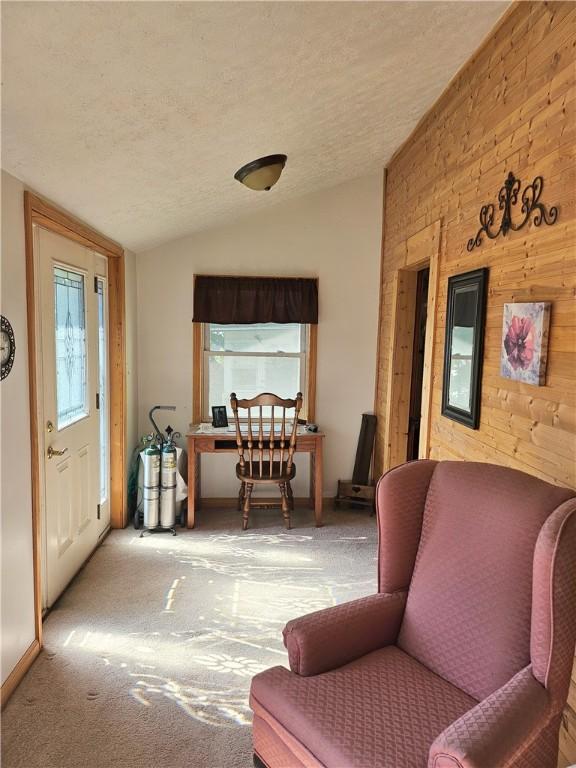 4136 William Flynn Hwy, Mercer Twp, PA 16035 - photo 23