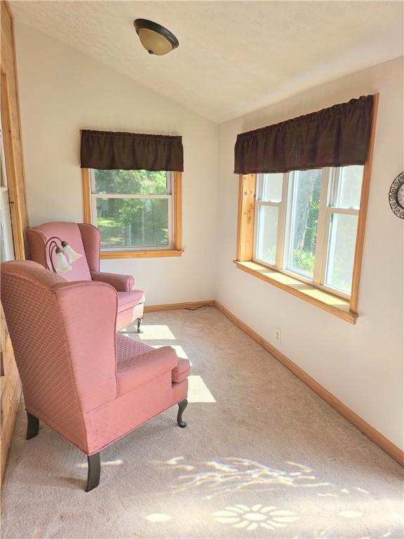 4136 William Flynn Hwy, Mercer Twp, PA 16035 - photo 24