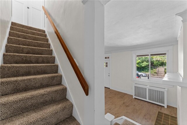 6526 Jackson St, Highland Park, PA 15206 - photo 18