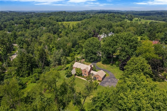 231 Hunt Rd, Fox Chapel, PA 15215 - photo 46