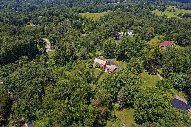 231 Hunt Rd, Fox Chapel, PA 15215 - photo 48