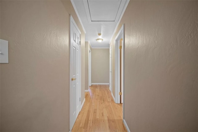 2314 Clearvue Rd, Franklin Park, PA 15237 - photo 19