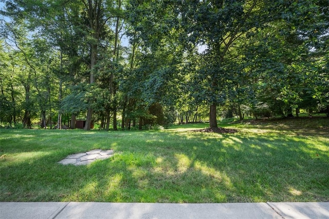 2314 Clearvue Rd, Franklin Park, PA 15237 - photo 39