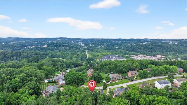 243 King Richard Dr, Peters Twp, PA 15317 - photo 44