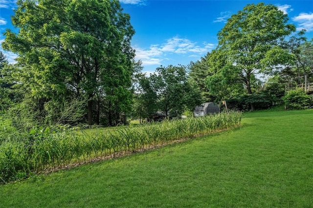 2668 Pang Burn Hollow Rd, Forward Twp, PA 15063 - photo 39