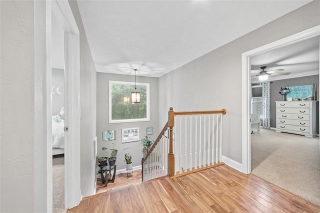 133 Hay Ln, Murrysville, PA 15668 - photo 16