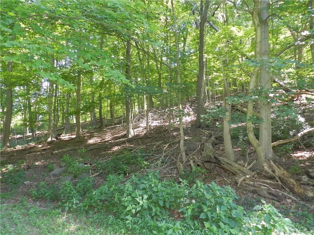757 Old Narrows Run Rd, Moon/Crescent Twp, PA 15108 - photo 16