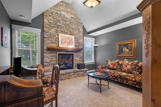 300 Mccutcheon Ct, Pine Twp, PA 15044 - photo 26
