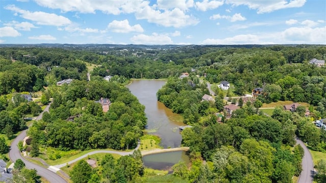 300 Mccutcheon Ct, Pine Twp, PA 15044 - photo 48