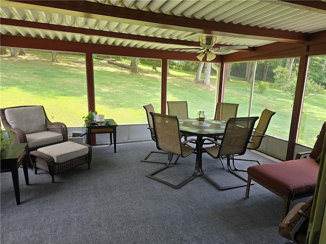 504 Maple Ter, East Brady, PA 16028 - photo 20