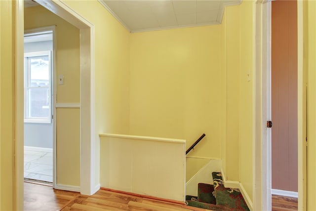 1014 Glass Run Rd, Baldwin Boro, PA 15236 - photo 21