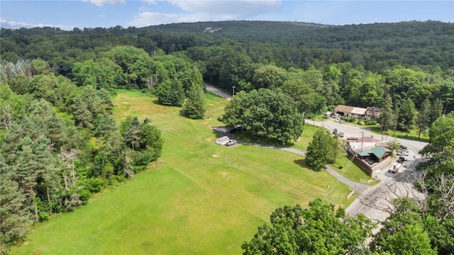 497 Freeman Falls Rd, Mount Pleasant Twp, PA 15610 - photo 28