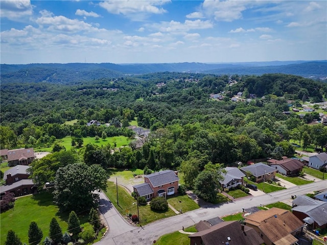 2640 Princeton St, Lower Burrell, PA 15068 - photo 39