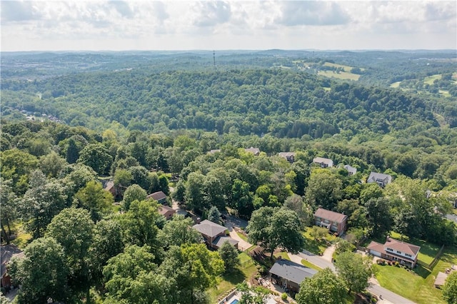 207 Lightholder Dr, Peters Twp, PA 15317 - photo 40