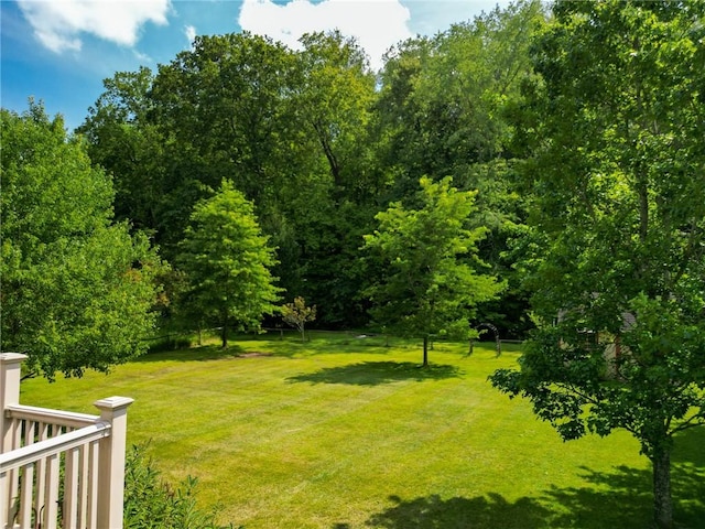 670 Lakeview Dr, South Strabane, PA 15301 - photo 37